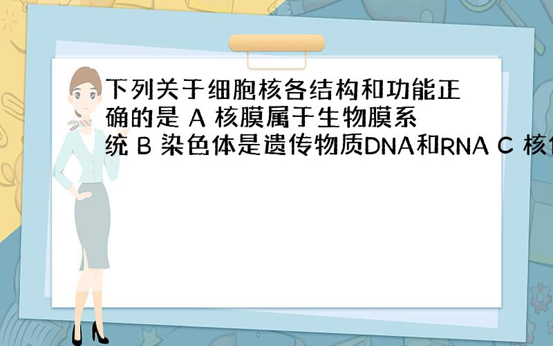 下列关于细胞核各结构和功能正确的是 A 核膜属于生物膜系统 B 染色体是遗传物质DNA和RNA C 核仁与蛋白质的