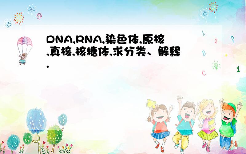 DNA,RNA,染色体,原核,真核,核糖体,求分类、解释.