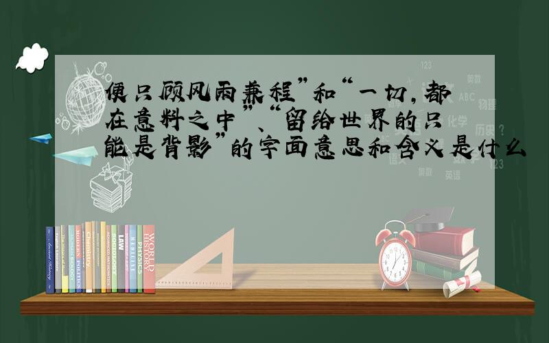 便只顾风雨兼程”和“一切,都在意料之中”、“留给世界的只能是背影”的字面意思和含义是什么