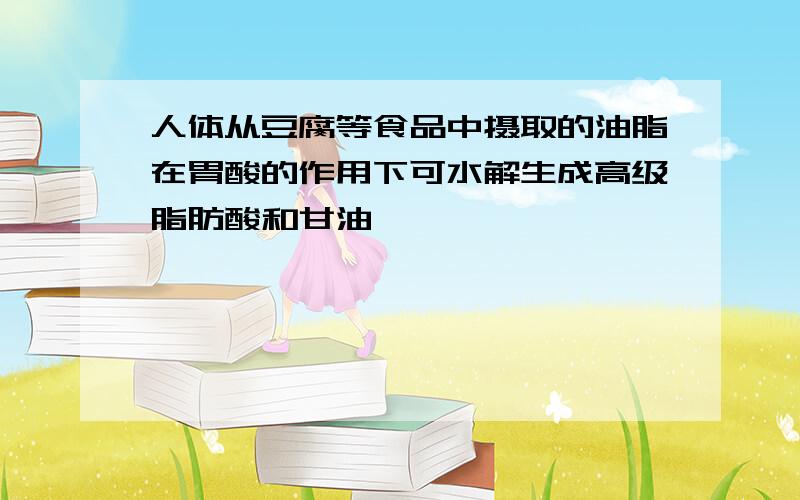 人体从豆腐等食品中摄取的油脂在胃酸的作用下可水解生成高级脂肪酸和甘油