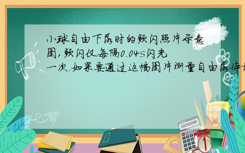 小球自由下落时的频闪照片示意图,频闪仪每隔0.04s闪光一次.如果要通过这幅图片测量自由落体加速度,