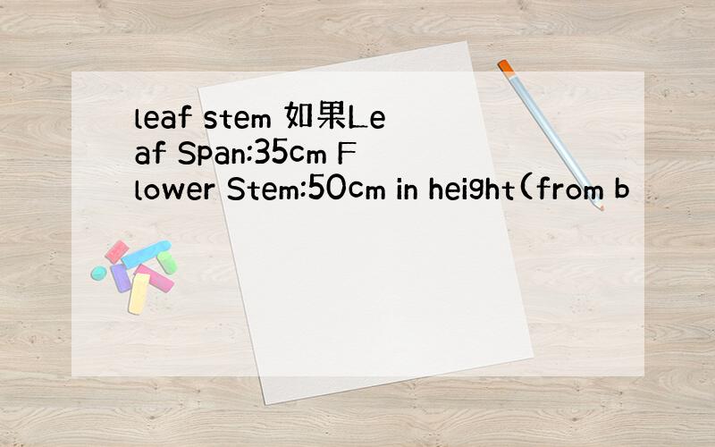 leaf stem 如果Leaf Span:35cm Flower Stem:50cm in height(from b