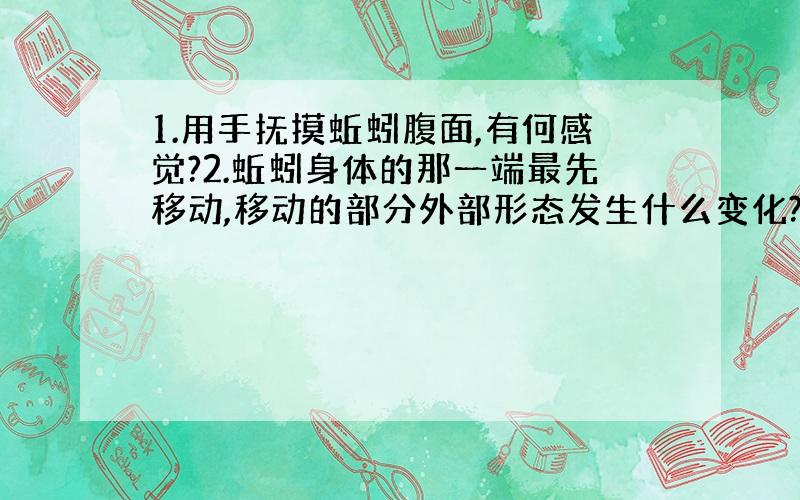 1.用手抚摸蚯蚓腹面,有何感觉?2.蚯蚓身体的那一端最先移动,移动的部分外部形态发生什么变化?