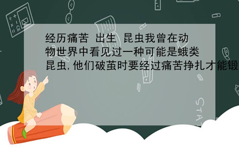 经历痛苦 出生 昆虫我曾在动物世界中看见过一种可能是蛾类昆虫,他们破茧时要经过痛苦挣扎才能锻炼翅膀,以适合飞翔,有很大一