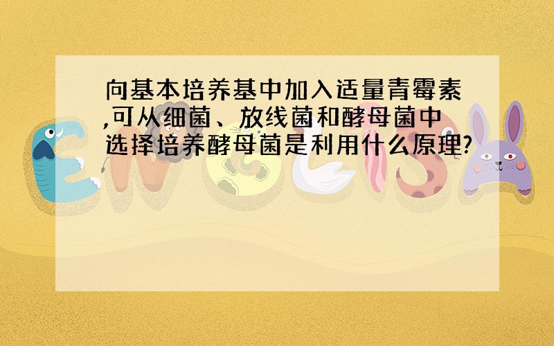 向基本培养基中加入适量青霉素,可从细菌、放线菌和酵母菌中选择培养酵母菌是利用什么原理?