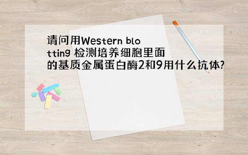 请问用Western blotting 检测培养细胞里面的基质金属蛋白酶2和9用什么抗体?