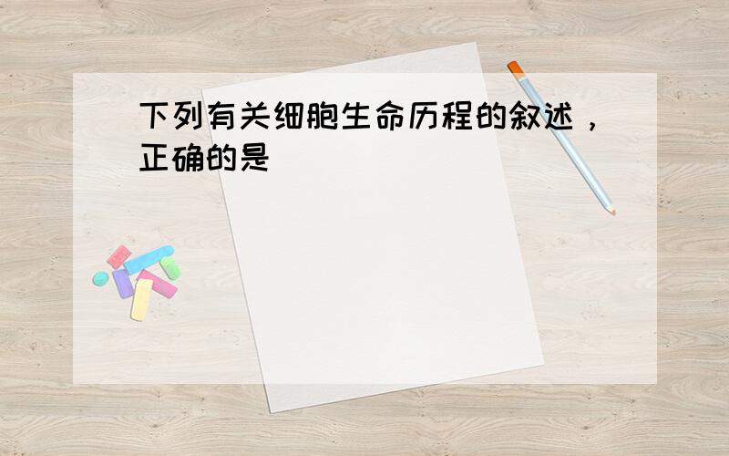 下列有关细胞生命历程的叙述，正确的是（　　）