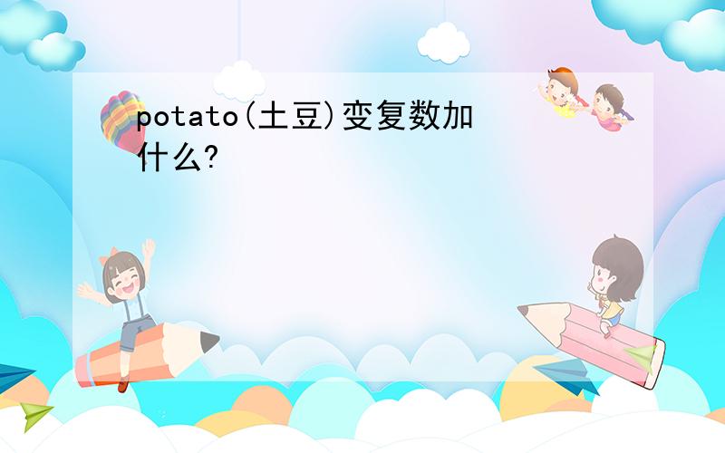 potato(土豆)变复数加什么?