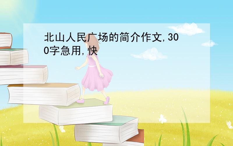 北山人民广场的简介作文,300字急用,快