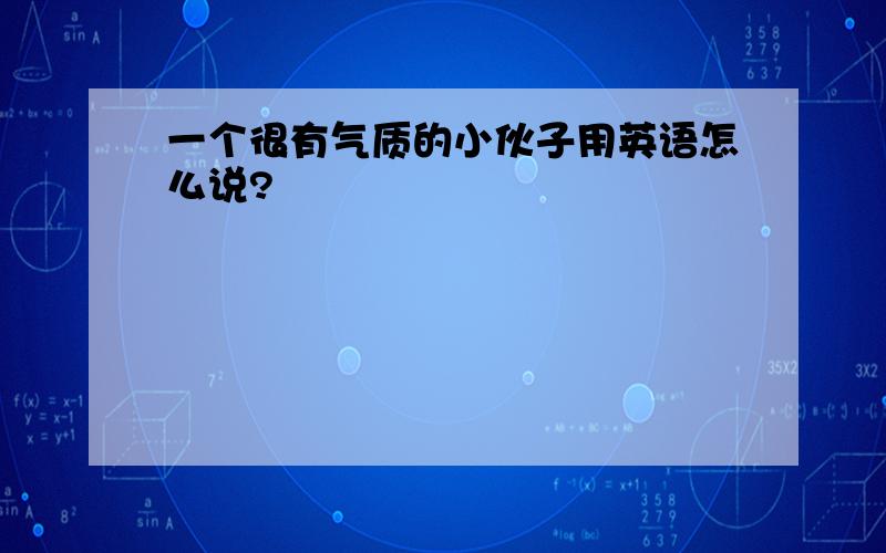 一个很有气质的小伙子用英语怎么说?