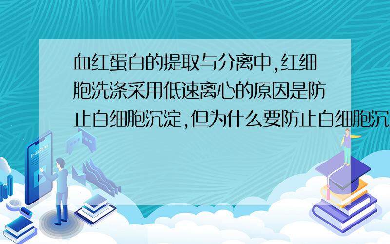 血红蛋白的提取与分离中,红细胞洗涤采用低速离心的原因是防止白细胞沉淀,但为什么要防止白细胞沉淀呢?