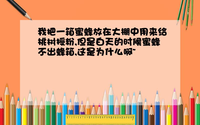 我把一箱蜜蜂放在大棚中用来给桃树授粉,但是白天的时候蜜蜂不出蜂箱,这是为什么啊~