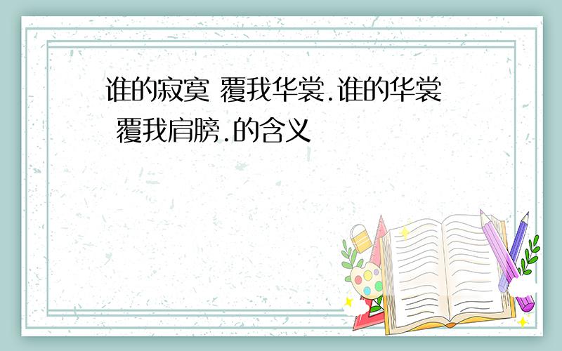 谁的寂寞 覆我华裳.谁的华裳 覆我肩膀.的含义