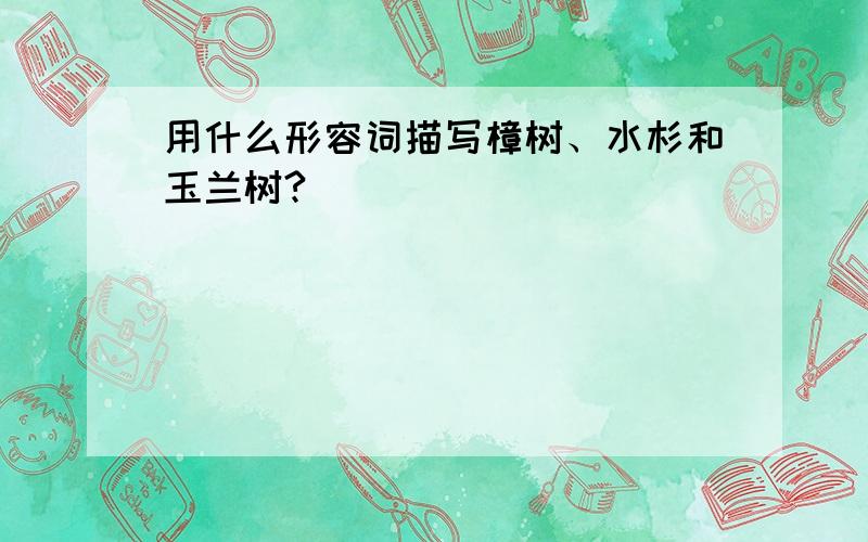 用什么形容词描写樟树、水杉和玉兰树?