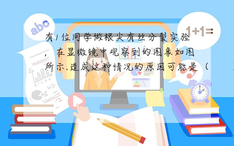 有1位同学做根尖有丝分裂实验，在显微镜中观察到的图象如图所示.造成这种情况的原因可能是（　　）