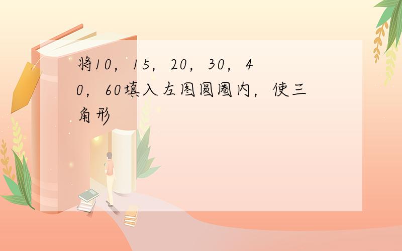 将10，15，20，30，40，60填入左图圆圈内，使三角形