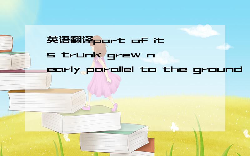 英语翻译part of its trunk grew nearly parallel to the ground,and