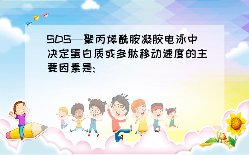 SDS—聚丙烯酰胺凝胶电泳中决定蛋白质或多肽移动速度的主要因素是: