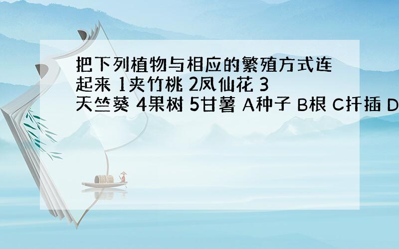 把下列植物与相应的繁殖方式连起来 1夹竹桃 2凤仙花 3天竺葵 4果树 5甘薯 A种子 B根 C扦插 D压条 E嫁接