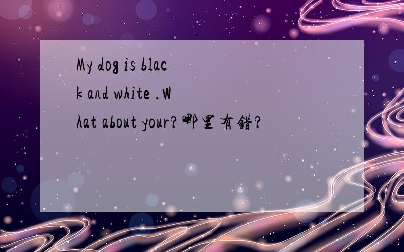 My dog is black and white .What about your?哪里有错?