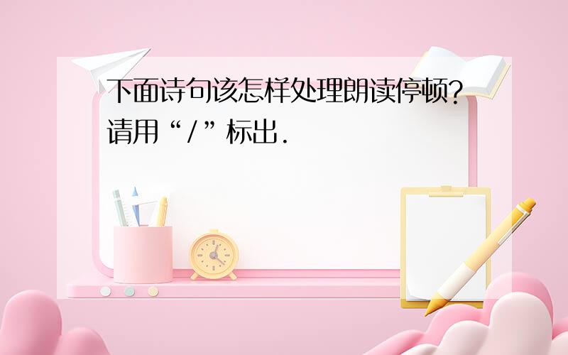 下面诗句该怎样处理朗读停顿?请用“/”标出.