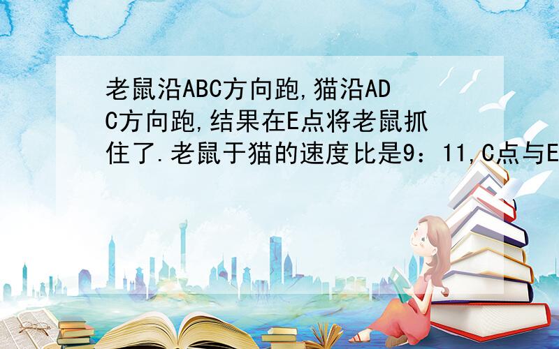 老鼠沿ABC方向跑,猫沿ADC方向跑,结果在E点将老鼠抓住了.老鼠于猫的速度比是9：11,C点与E点相距4米,四边形AB