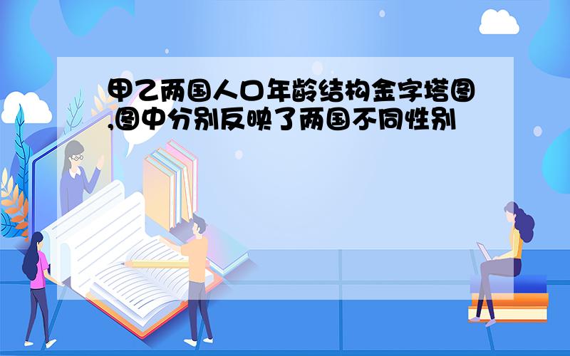 甲乙两国人口年龄结构金字塔图,图中分别反映了两国不同性别