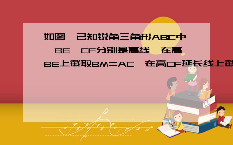 如图,已知锐角三角形ABC中,BE、CF分别是高线,在高BE上截取BM=AC,在高CF延长线上截取CN=AB,连AM、A