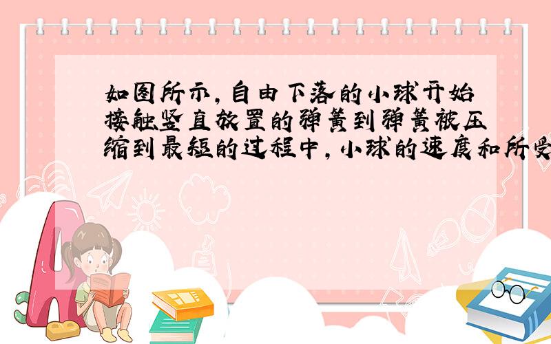 如图所示，自由下落的小球开始接触竖直放置的弹簧到弹簧被压缩到最短的过程中，小球的速度和所受合力的变化情况是（　　）