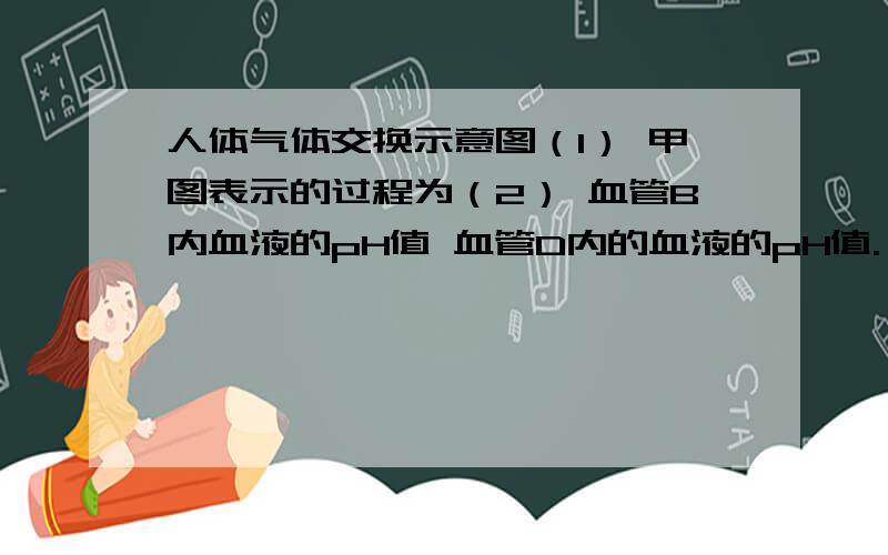 人体气体交换示意图（1） 甲图表示的过程为（2） 血管B内血液的pH值 血管D内的血液的pH值.（填“﹤”“﹥”“=”）