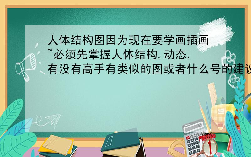 人体结构图因为现在要学画插画~必须先掌握人体结构,动态.有没有高手有类似的图或者什么号的建议.贴上来看看嘛~感激~