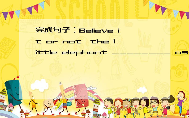 完成句子：Believe it or not,the little elephant ________ as you.(