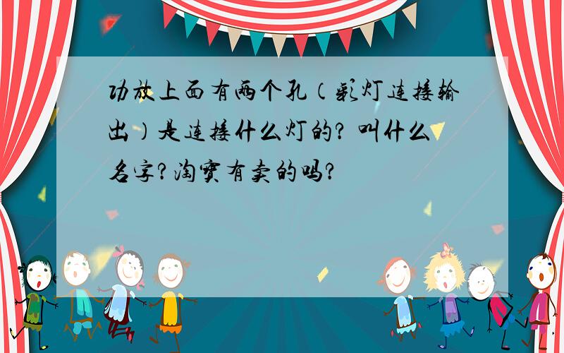 功放上面有两个孔（彩灯连接输出）是连接什么灯的? 叫什么名字?淘宝有卖的吗?