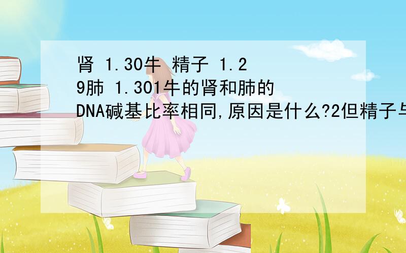 肾 1.30牛 精子 1.29肺 1.301牛的肾和肺的DNA碱基比率相同,原因是什么?2但精子与肺或肾的DNA 碱基比