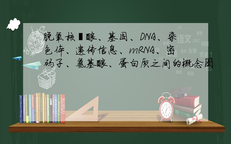 脱氧核苷酸、基因、DNA、染色体、遗传信息、mRNA、密码子、氨基酸、蛋白质之间的概念图