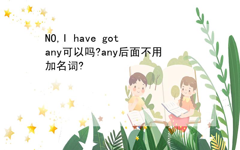 NO,I have got any可以吗?any后面不用加名词?