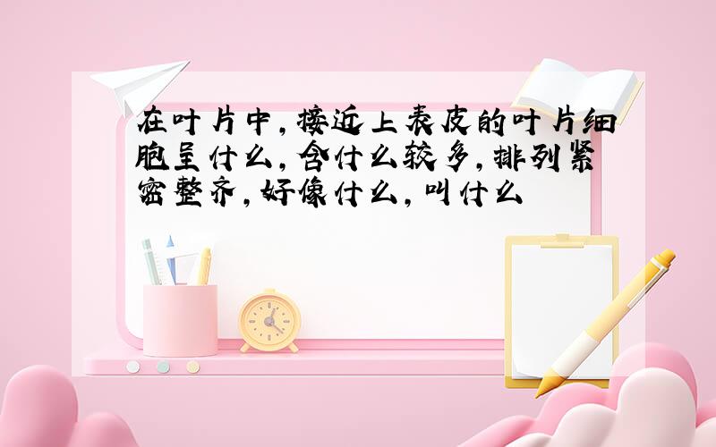 在叶片中,接近上表皮的叶片细胞呈什么,含什么较多,排列紧密整齐,好像什么,叫什么