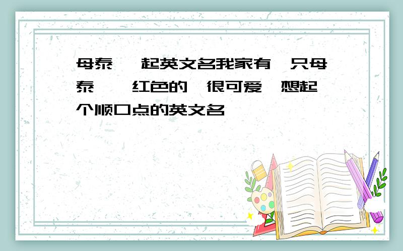 母泰迪 起英文名我家有一只母泰迪,红色的,很可爱,想起一个顺口点的英文名