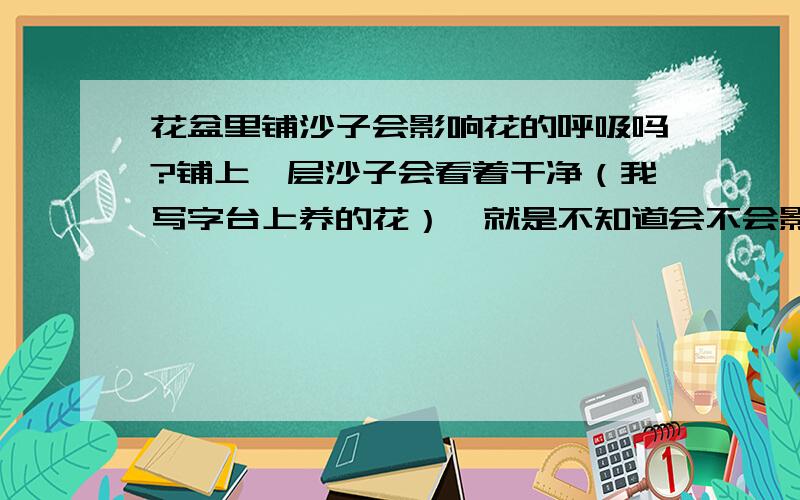 花盆里铺沙子会影响花的呼吸吗?铺上一层沙子会看着干净（我写字台上养的花）,就是不知道会不会影响花呼吸.