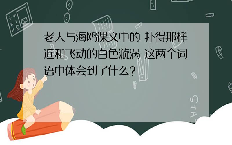 老人与海鸥课文中的 扑得那样近和飞动的白色漩涡 这两个词语中体会到了什么?