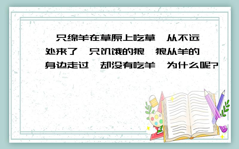 一只绵羊在草原上吃草,从不远处来了一只饥饿的狼,狼从羊的身边走过,却没有吃羊,为什么呢?