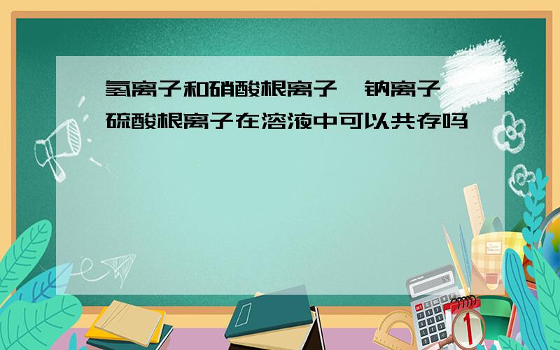 氢离子和硝酸根离子,钠离子,硫酸根离子在溶液中可以共存吗