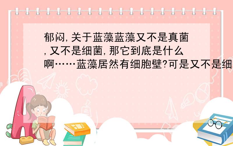 郁闷,关于蓝藻蓝藻又不是真菌,又不是细菌,那它到底是什么啊……蓝藻居然有细胞壁?可是又不是细菌、真菌,又不是植物,怎么会