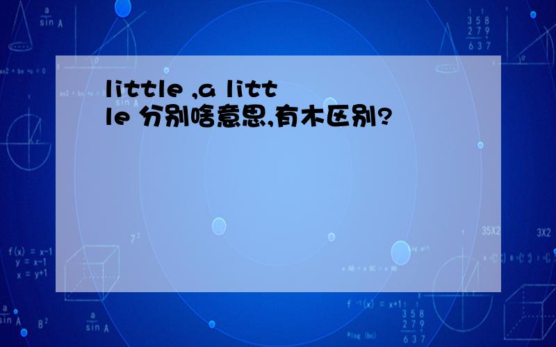 little ,a little 分别啥意思,有木区别?