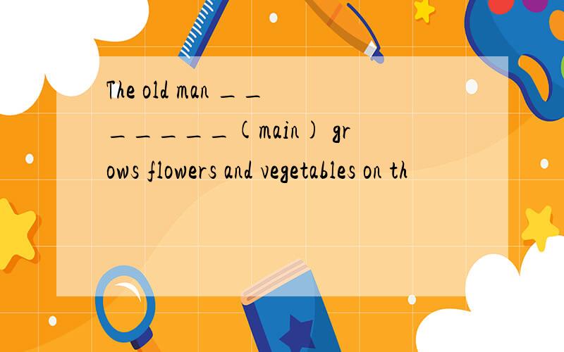 The old man _______(main) grows flowers and vegetables on th