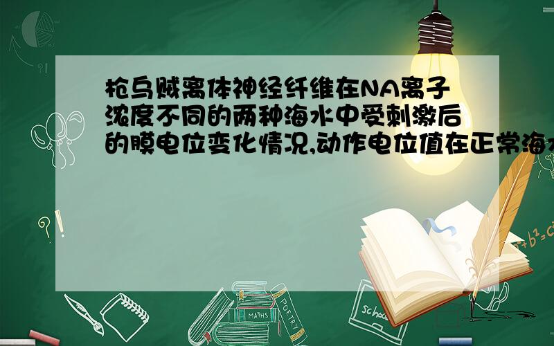 枪乌贼离体神经纤维在NA离子浓度不同的两种海水中受刺激后的膜电位变化情况,动作电位值在正常海水中是多