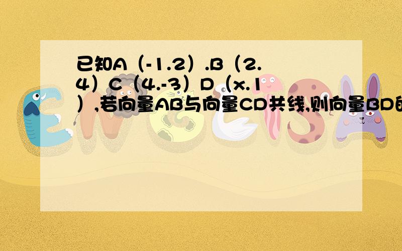 已知A（-1.2）.B（2.4）C（4.-3）D（x.1）,若向量AB与向量CD共线,则向量BD的值?