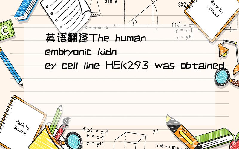 英语翻译The human embryonic kidney cell line HEK293 was obtained