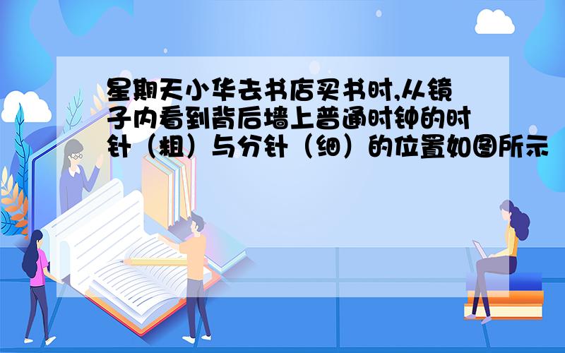 星期天小华去书店买书时,从镜子内看到背后墙上普通时钟的时针（粗）与分针（细）的位置如图所示（10点30