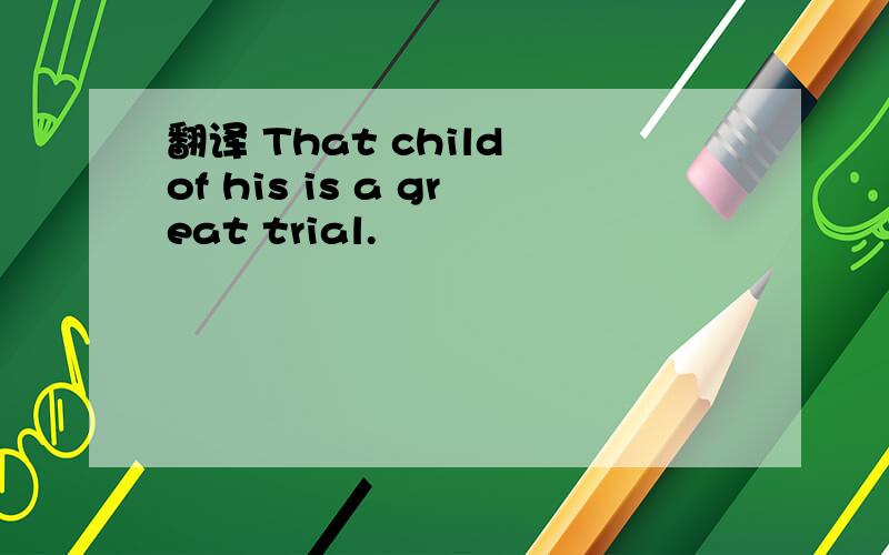 翻译 That child of his is a great trial.